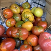 farmers market