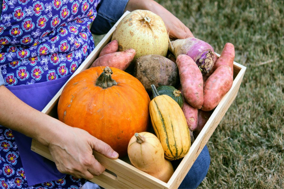 Cozy Fall Recipes For Cleaner Eating with Healthy Mrs. Miller’s Homemade Egg Noodles